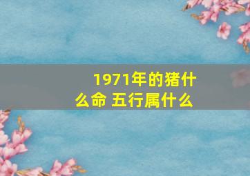 1971年的猪什么命 五行属什么